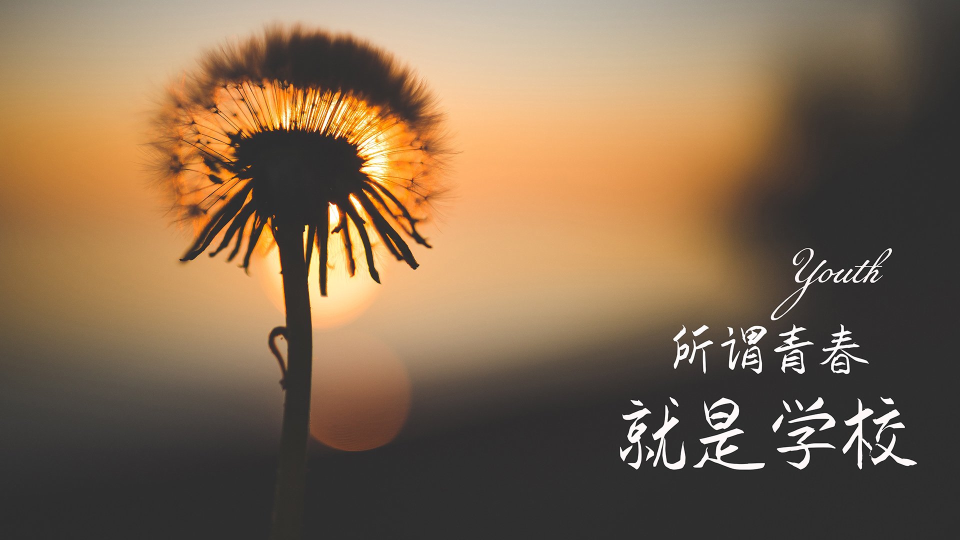 开云-广东宏远夺冠呼声高，球队整体状态稳定，广东宏远连续几个冠军了