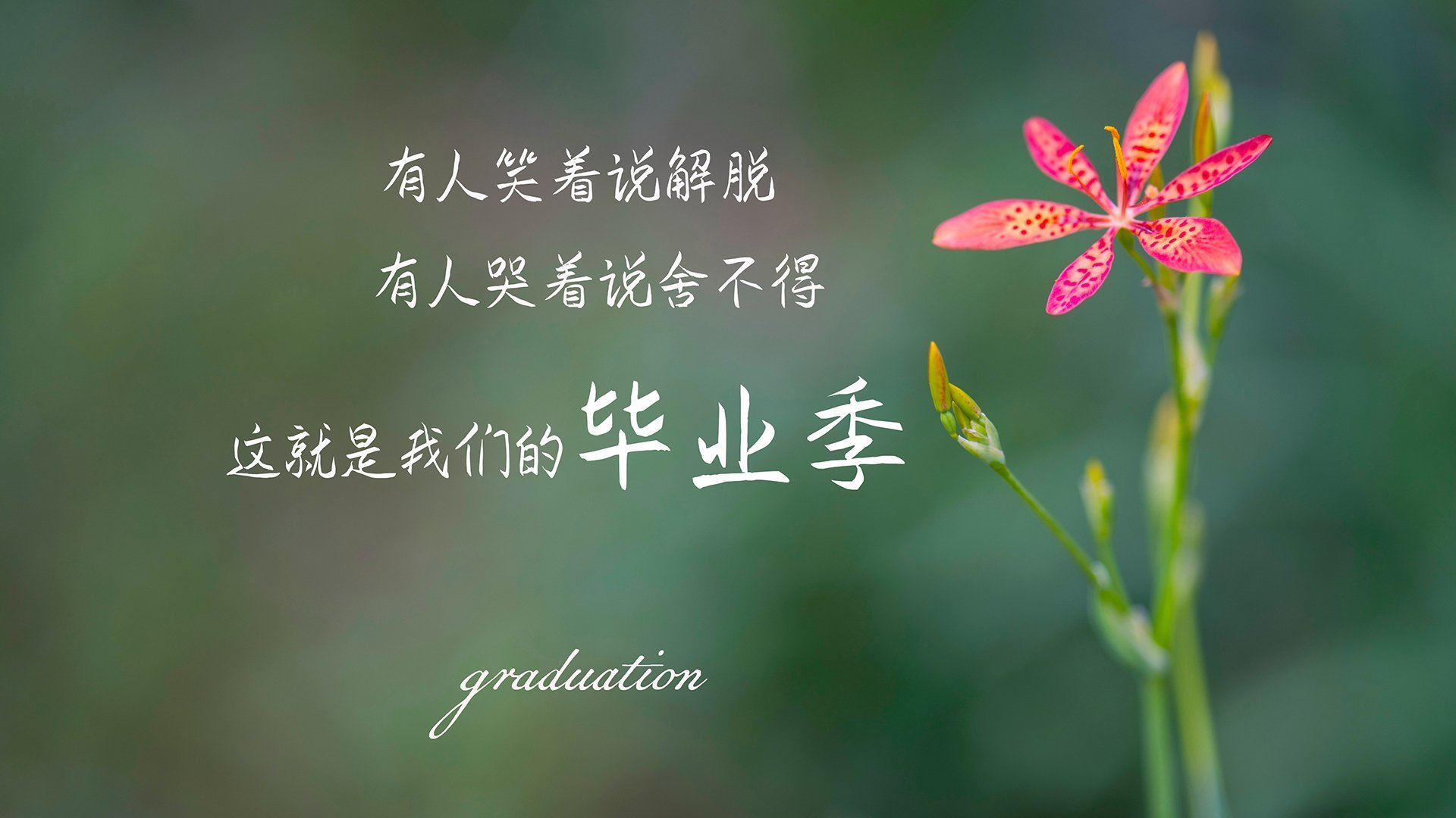 猛龙活塞擦出火花，双方实力对比展现火爆，猛龙冲击