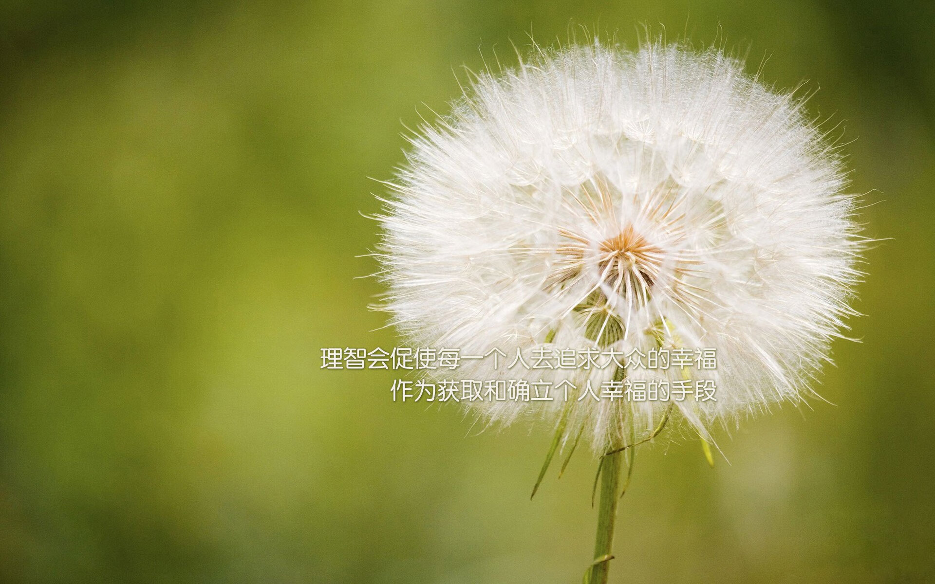 葡萄牙体育射手状态回暖助球队反超,葡萄牙 队