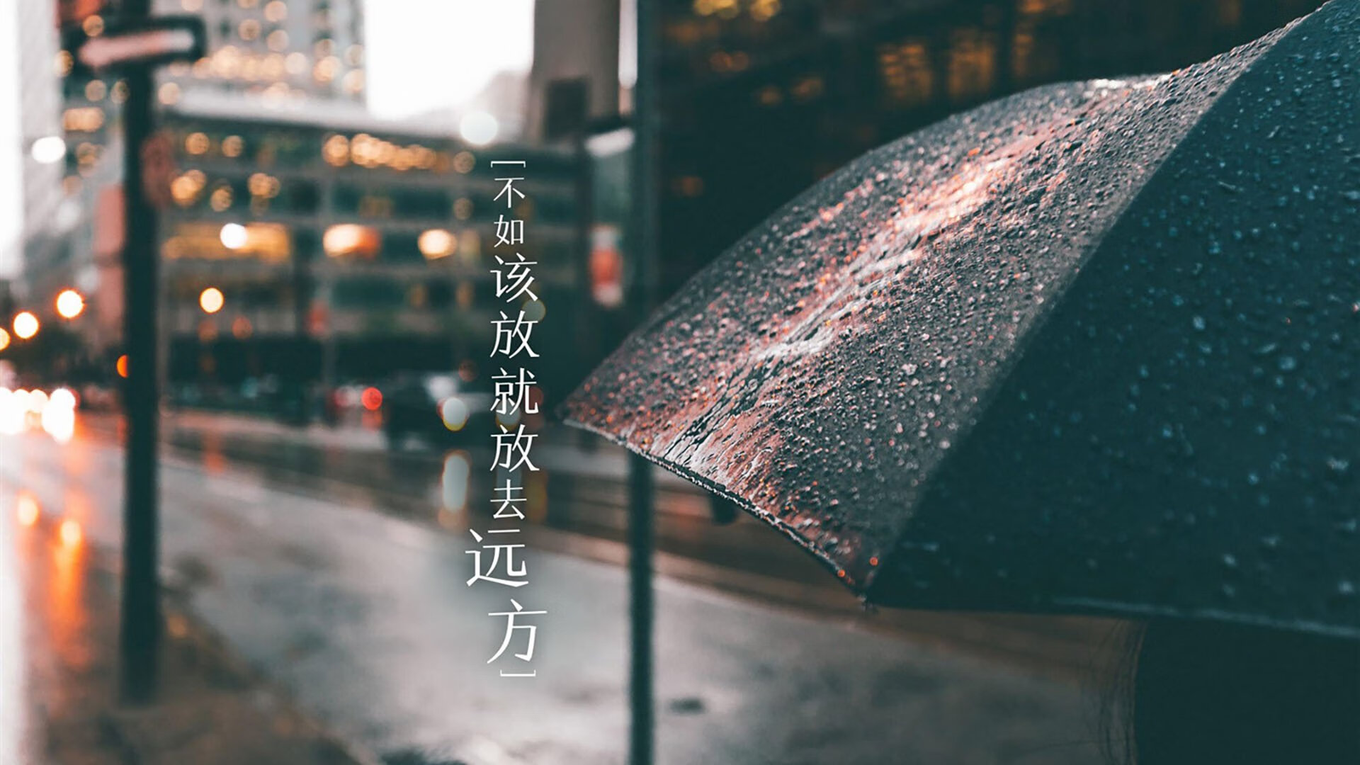 开云·体育全站登录地址-葡萄牙马术协会建立马匹基因数据库，促进马匹选育与训练。，葡萄牙马竞