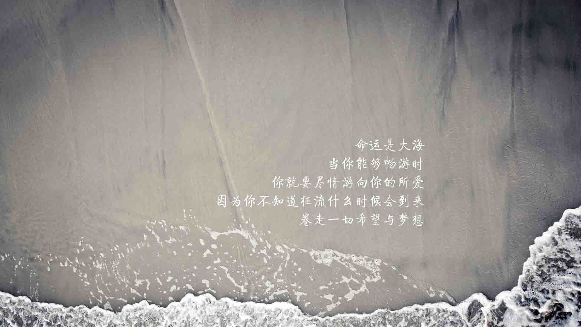 中国篮球职业联赛裁判员执法能力提升路径，中国篮协裁判员管理条例暨实施细则