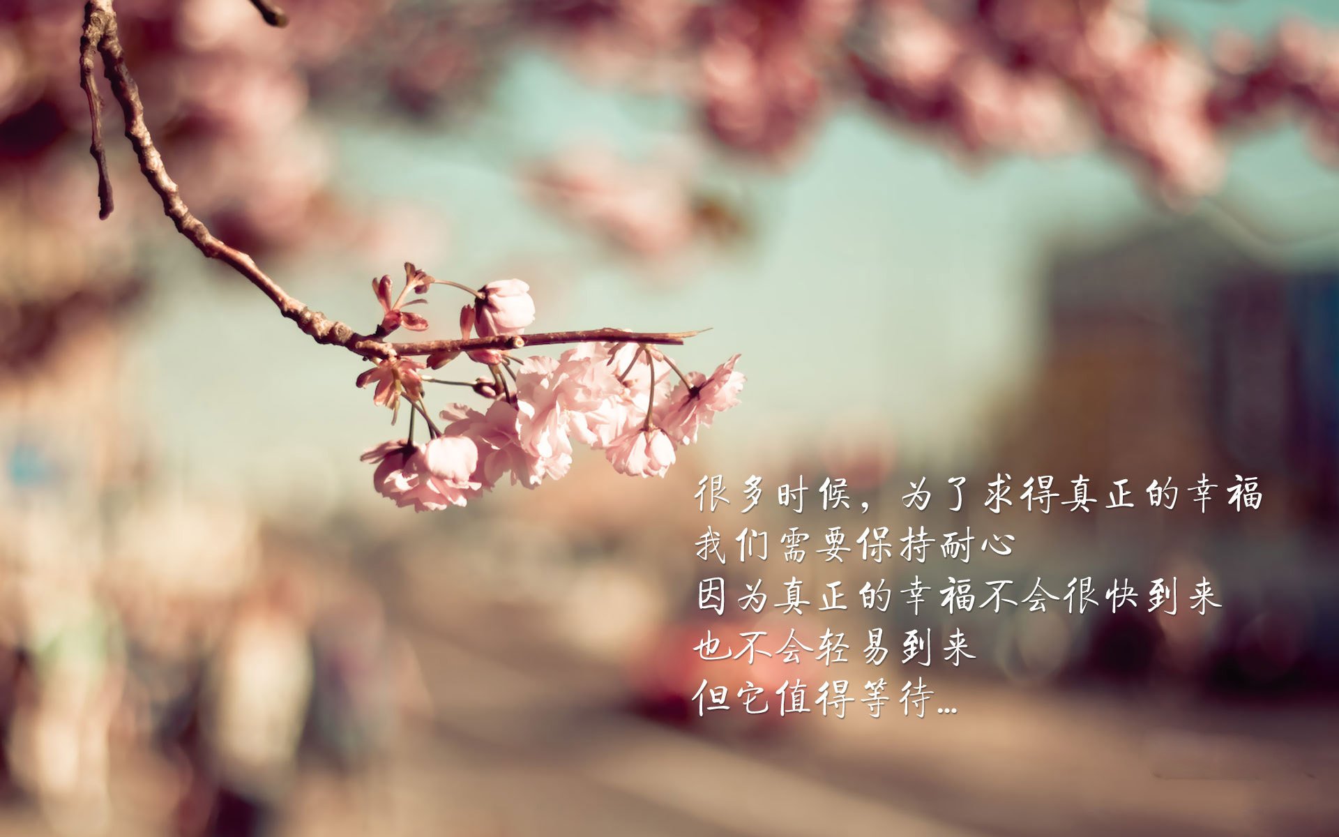 中国篮球教练员战术创新与应用能力提升路径探索，全国篮球教练员岗位培训